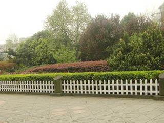 綠化護欄網(wǎng)